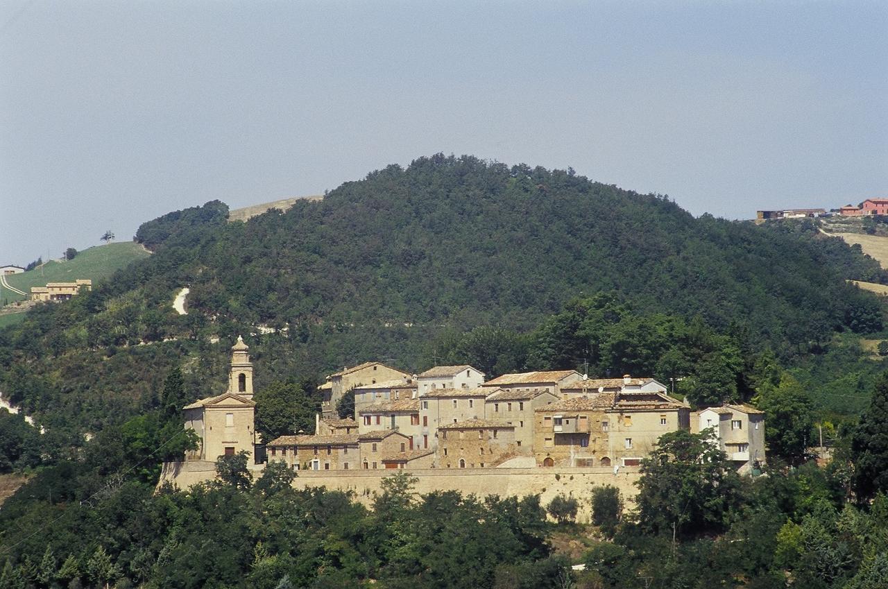Agriturismo Pozzuolo Serrungarina Экстерьер фото