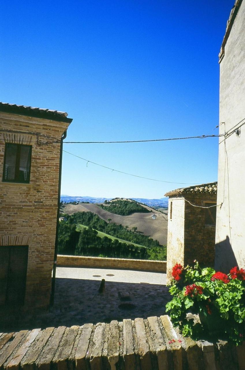 Agriturismo Pozzuolo Serrungarina Экстерьер фото
