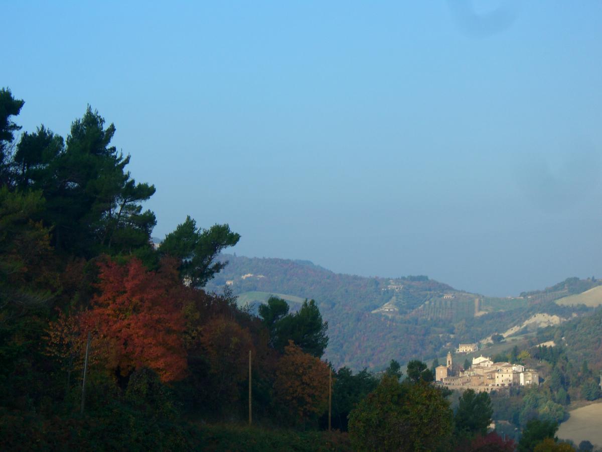 Agriturismo Pozzuolo Serrungarina Экстерьер фото