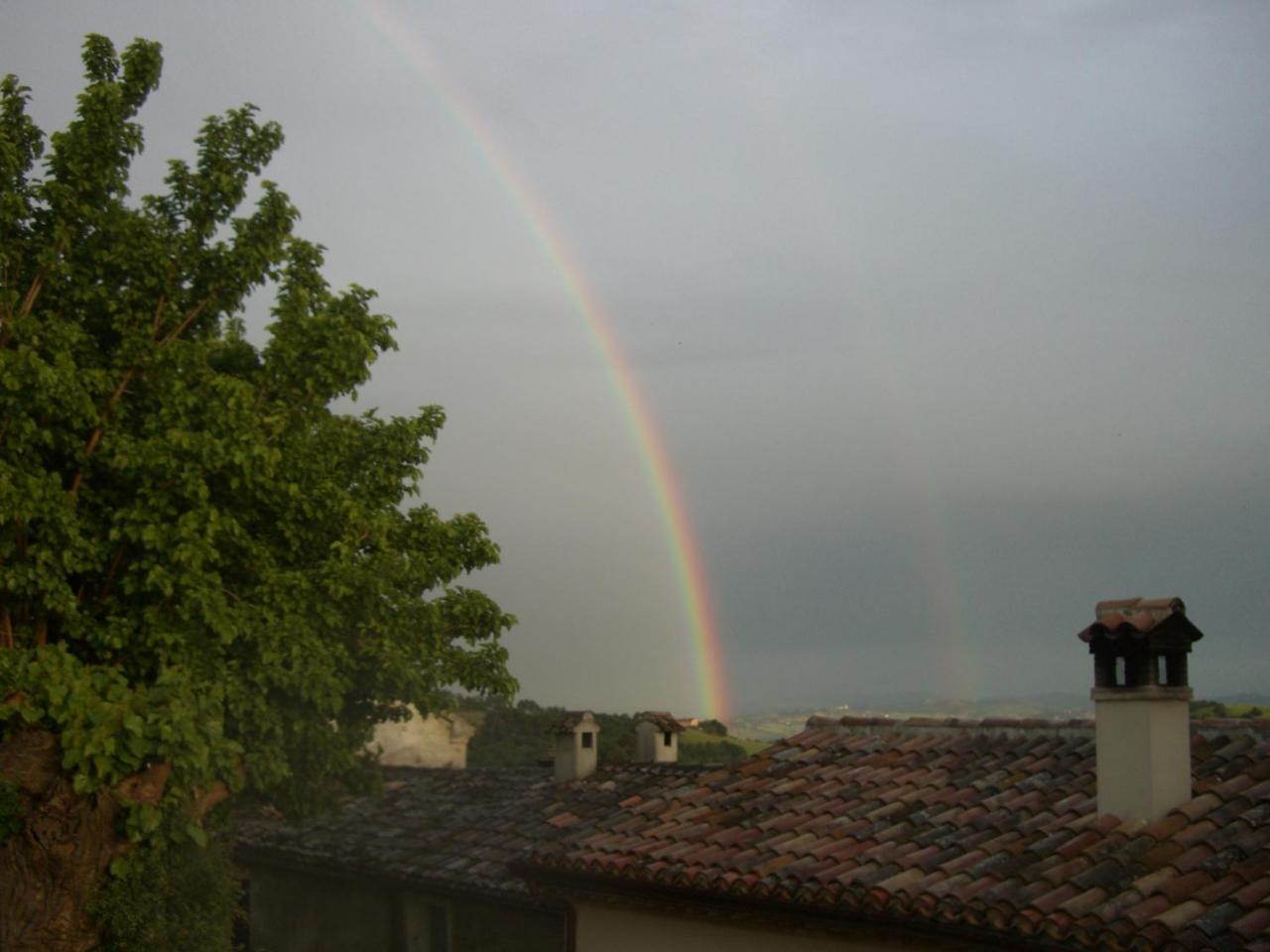 Agriturismo Pozzuolo Serrungarina Экстерьер фото